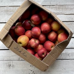 Pommes Royal Gala 20 lb (sans cire)