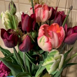 Bouquet de tulipes assorties dans les teintes de rose à rouge
