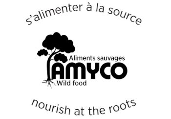 Champignons Amyco wild foods